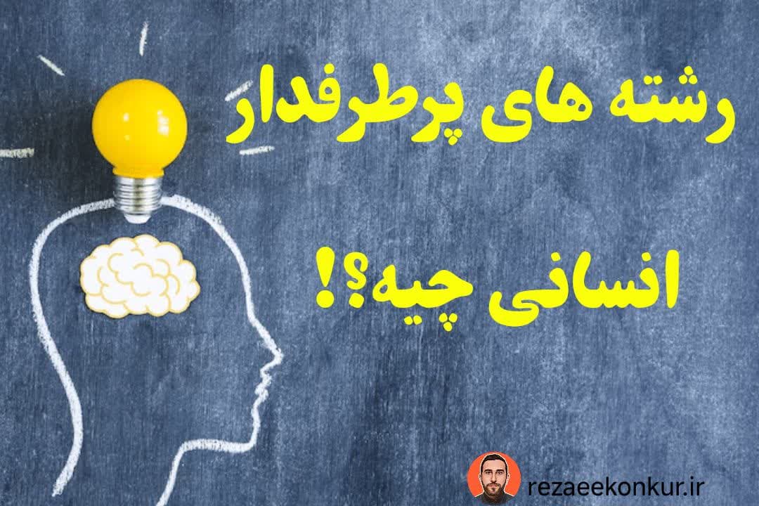 رشته های پرطرفدار انسانی چیست؟